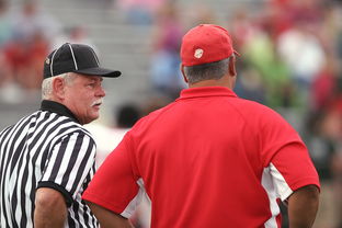 leyu.com-教练战术布置频繁调整引发讨论，教练在布置战术时讲到了常用的比赛阵型