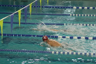 Leyu Sport登录入口-张雨霏自由泳赛段发力迅速，张雨霏自由泳实力