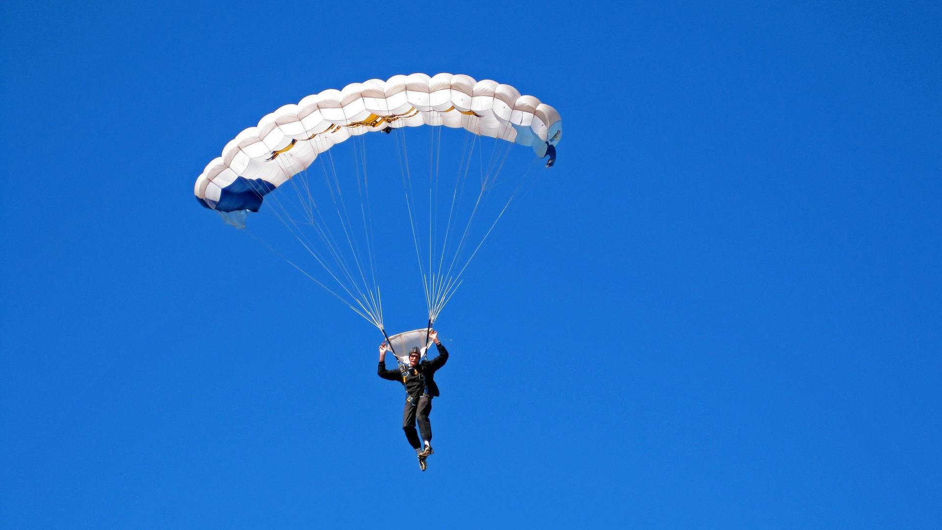 商务部启动碧根果调查，国内市场或受益，碧根果公司