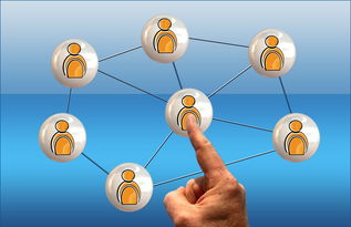 电竞平台是否应建立选手评价体系，电竞平台 可行性